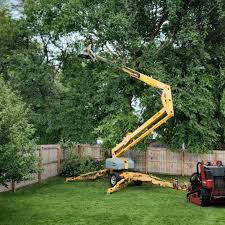 Best Hedge Trimming  in West Sayville, NY